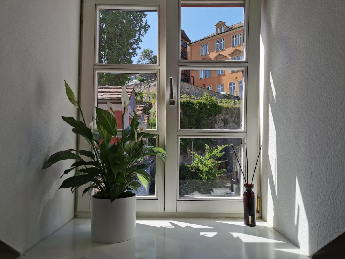 Fynbos Apartments in der Altstadt, Frauenkirche, Netflix, Parkplatz Meißen Exterior foto